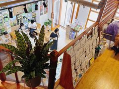 -如果枫糖(万达店)