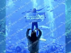 -亚特兰蒂斯•OSSIANO奥西亚诺海底餐厅