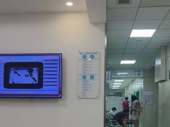 -北京观赏动物医院·24小时大型综合·猫专科·异宠专科