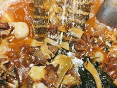 -洞庭家宴·头牌甲鱼(广渠门店)