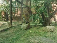 -沈阳森林动物园