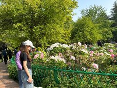 -河南省黄河迎宾馆