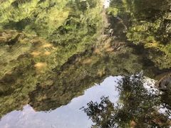 -白云源风景区