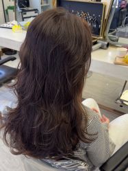 -镁连社·美联社