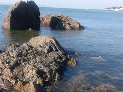 -兴城海滨风景区