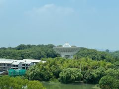 -佘山世茂艾美·御珍轩中餐厅