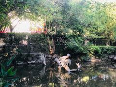 -汇龙潭