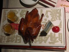 -大鸽饭(动物园店)