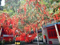 -国恩寺