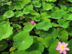 -法诗甜蛋糕店(皇姑大润发店)