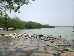 -宝安西湾红树林湿地公园