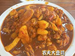 -农夫大盘鸡(经八路总店)