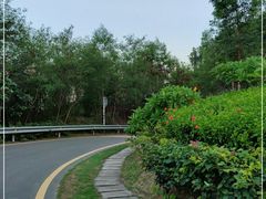 -小南山公园