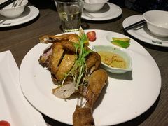 -青叶202都市餐厅(迪诺水镇店)