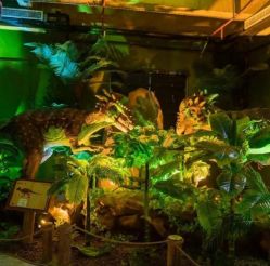 -恐龙探索乐园(磁器口店)