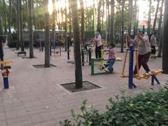 -仁和公园(顺义区)