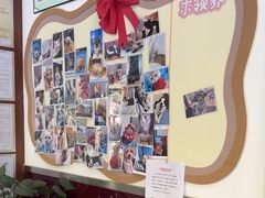 -顺强宠物诊所·狂犬免疫·夜诊·骨科(嘉定店)