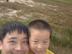 -盐城丹顶鹤湿地生态旅游区