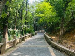 -灵岩山风景区