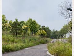 -东郊湿地公园