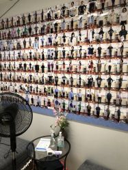 -维纳斯专业减肥