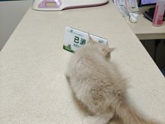 -虹泰宠物医院 ·旗舰店·24h(南秀路店)