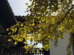 -蒋氏故居