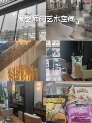 -Z.X HAIR SALON张新美业