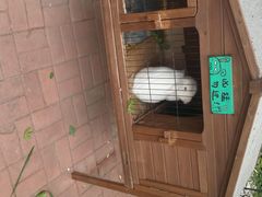 android_upload_pic-海边的猫和咖啡馆