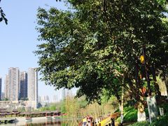 -重庆彩云湖湿地公园