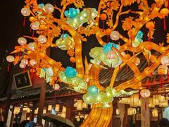 -横店影视城梦幻谷园区