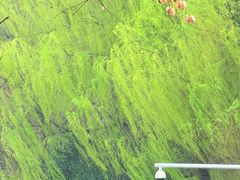 -阳澄湖半岛旅游度假区