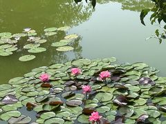 -国家植物园南园