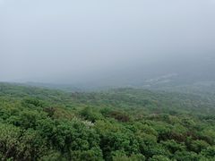 -紫金山山顶公园