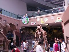 -陕西自然博物馆