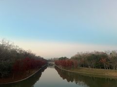 -上海海湾国家森林公园