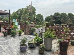 -小洞天柴火土菜馆