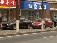 -全心全意连锁动物医院·微创中心·内科急重症·心脏专科(丰管路店)