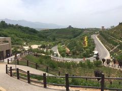 -白鹿原影视城