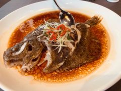 多宝鱼-魏公馆(昆太路店)