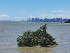 -深圳湾公园(南山区)