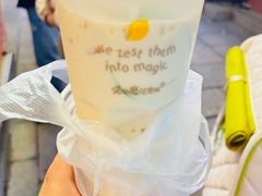 -猫的魔法密林(衣裳街店)