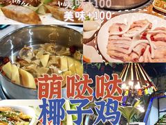-亚龙湾热带天堂森林公园