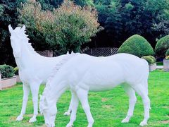 -春晖园度假酒店温泉