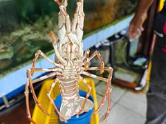 -真浪大家乐海鲜餐馆