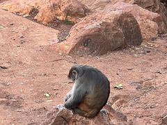-昆明动物园