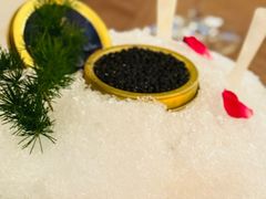 -Da Ivo哒伊沃意大利魔镜餐厅(外滩店)