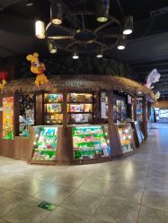 -卡通尼·Safari非洲探索乐园·生日会(金桥国际商业广场店)