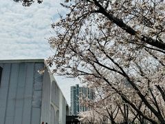 -龙美术馆(西岸馆)