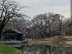 -万泉公园